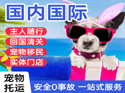 北京大兴空运地址国际宠物托运 【国